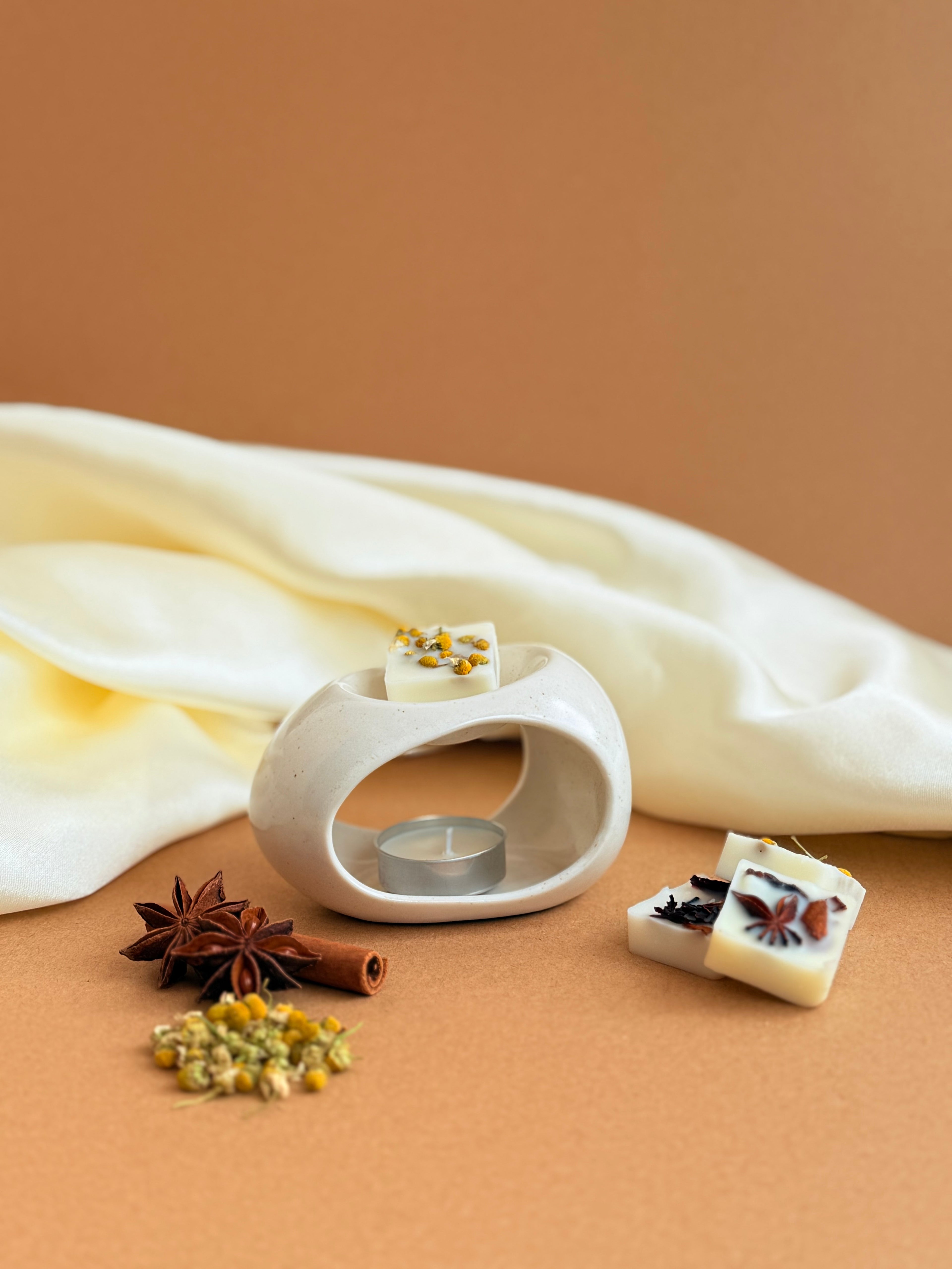 Queimador de Wax Melts em forma de ovo