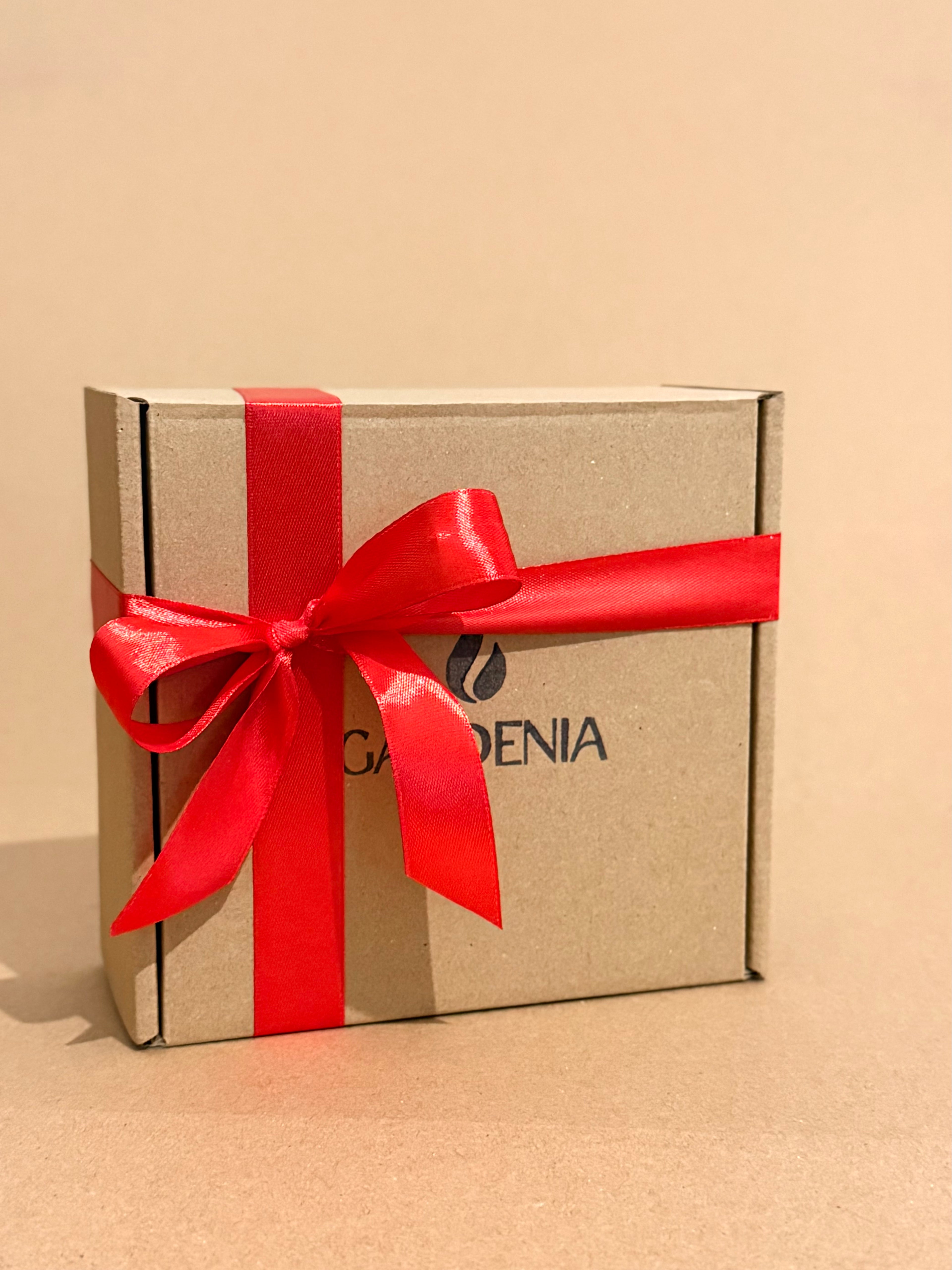 Conjunto Ursinho e coração gigante - oferta perfeita para a sua cara metade