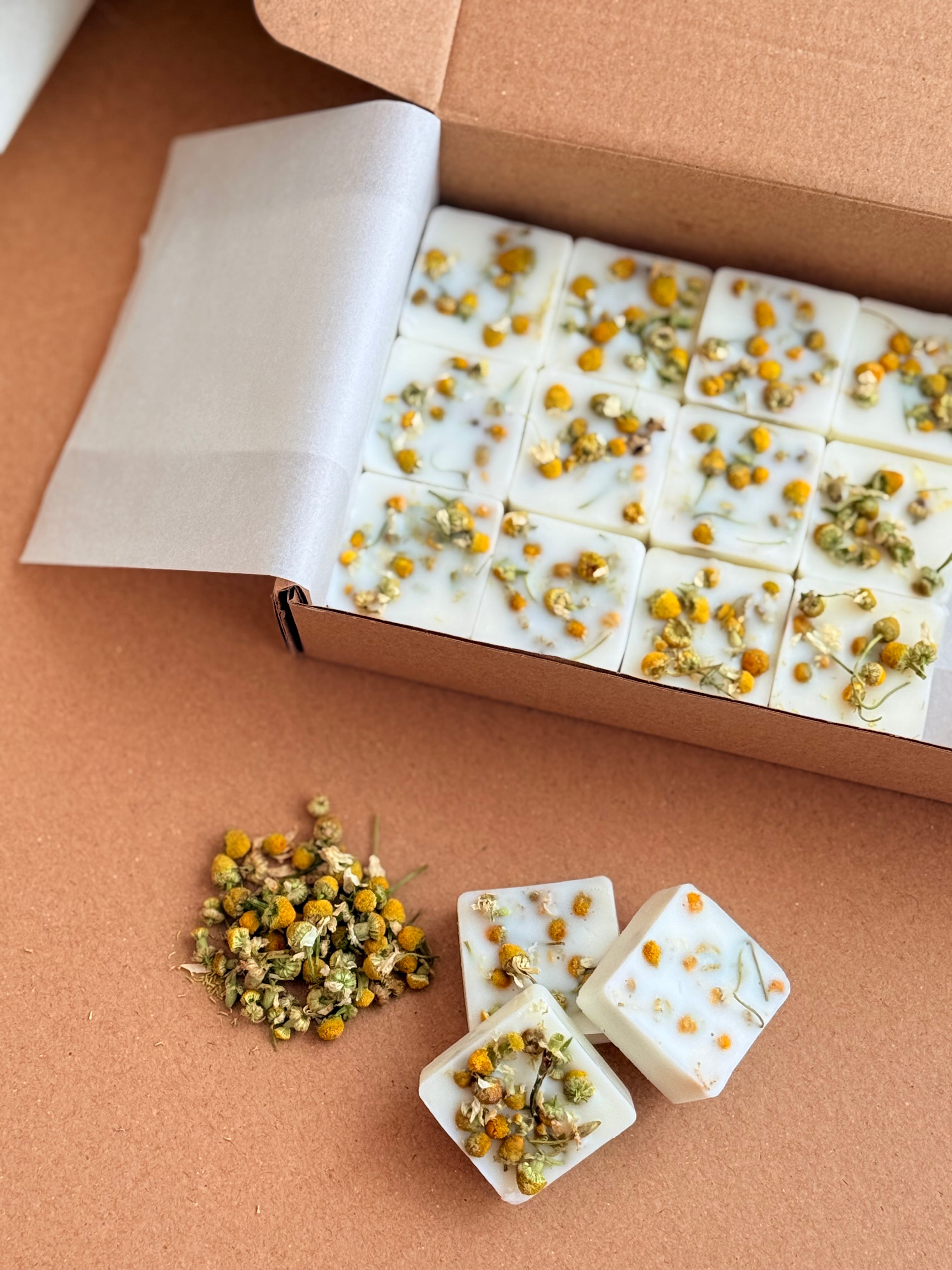 Wax Melt de Lima & Manga com Camomila